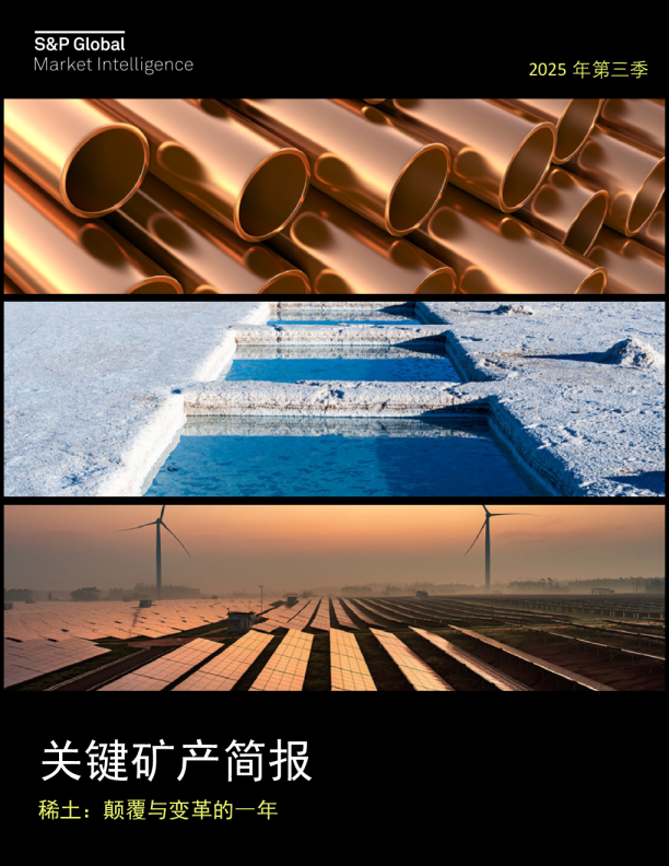 关键矿产简报：稀土：颠覆与变革的一年