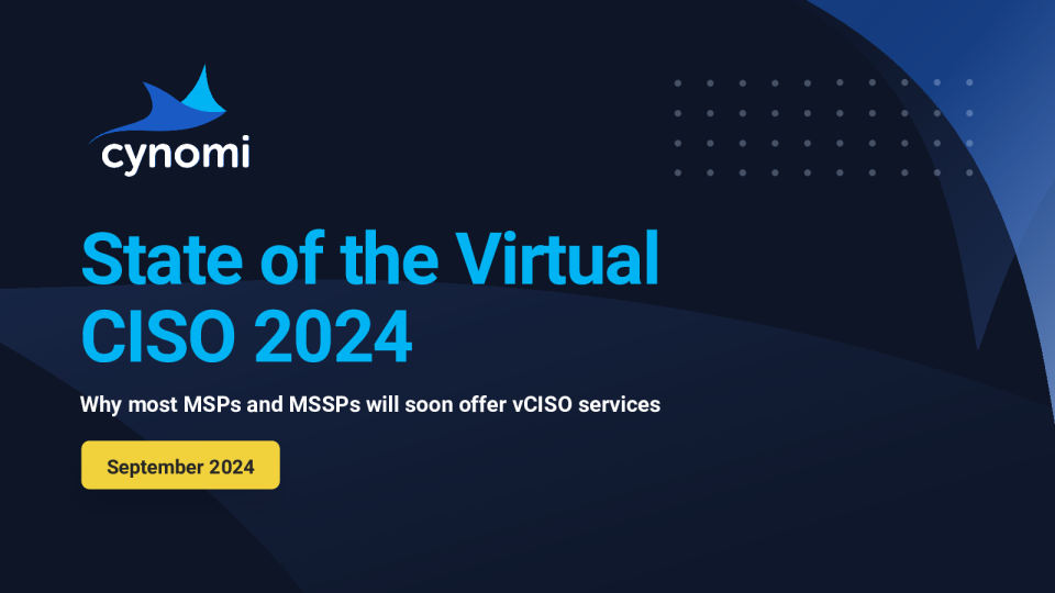 2024年虚拟CISO现状报告