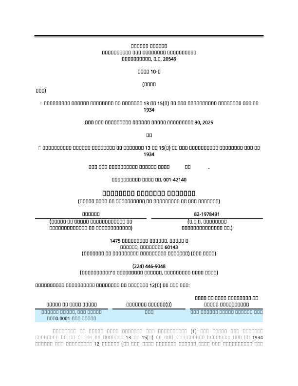 Lakeside Holding Ltd 2025年季度报告