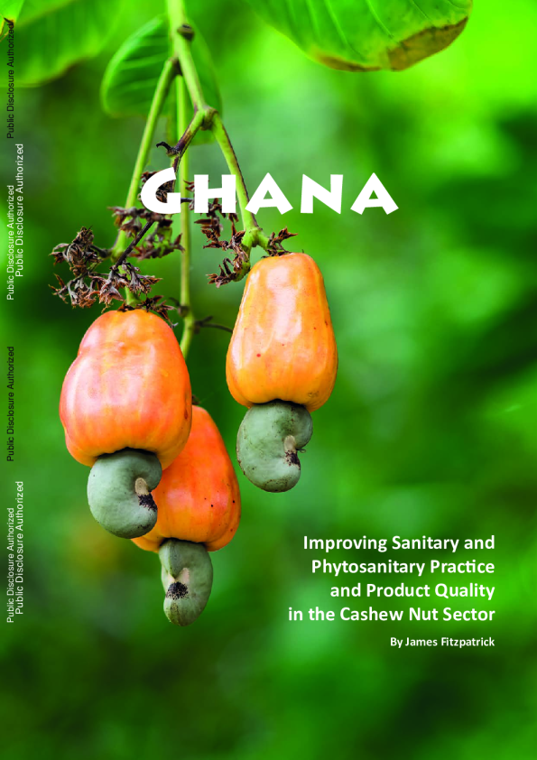 改善腰果行业的卫生和植物检疫实践以及产品质量