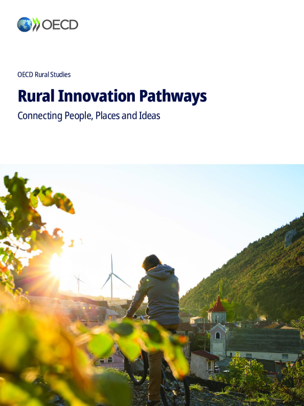 农村创新之路：连接人、地方和思想