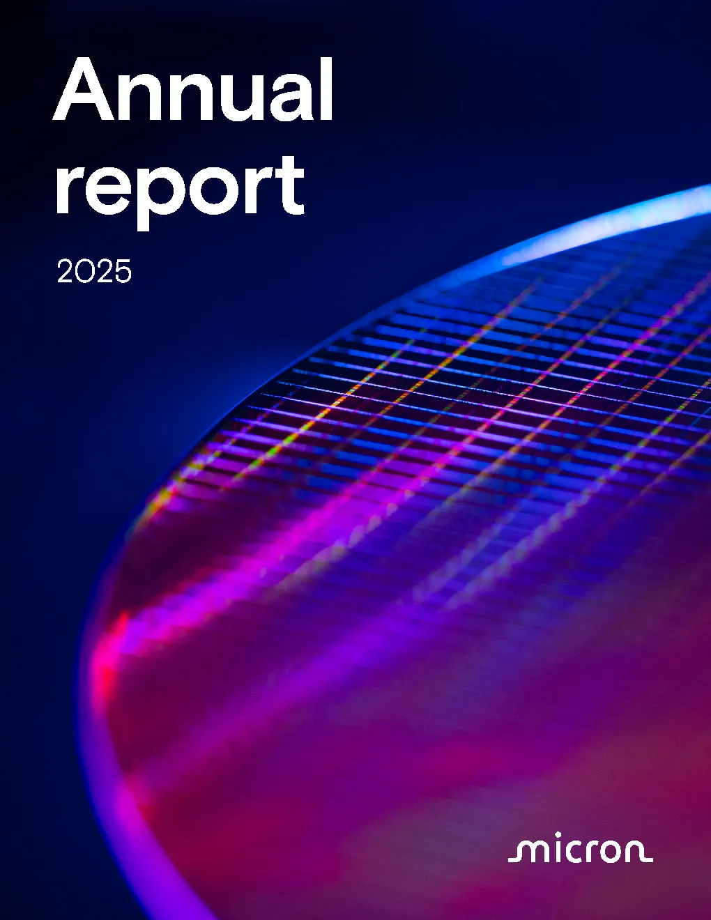美光科技：2024年度报告