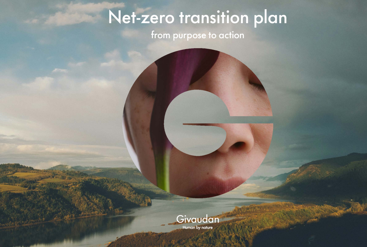 2025年净零过渡计划