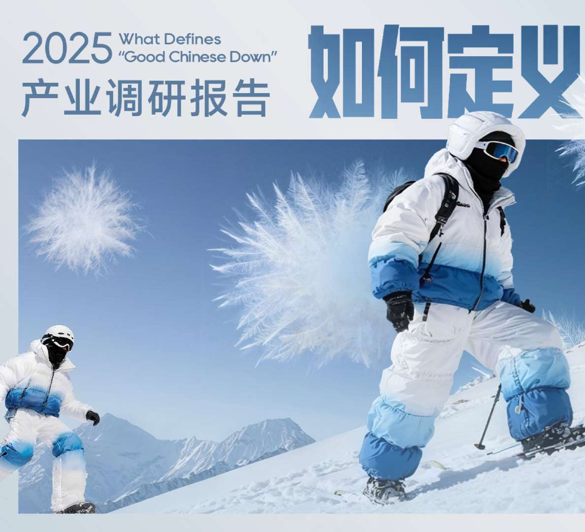 2025产业调研报告：如何定义国产好羽绒