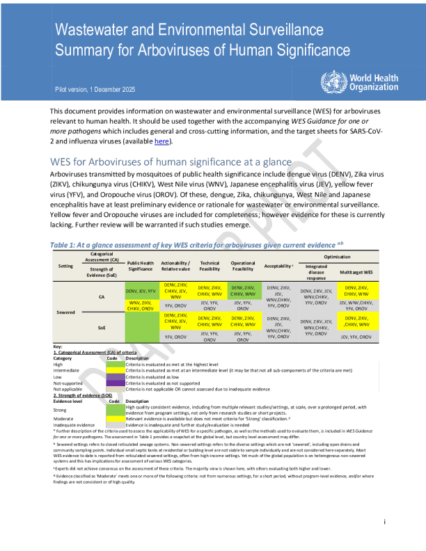 废水和环境监测：具有人类意义的虫媒病毒概述