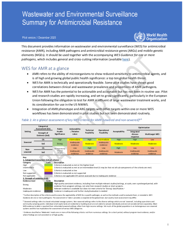 废水和环境监测：抗菌药物耐药性总结
