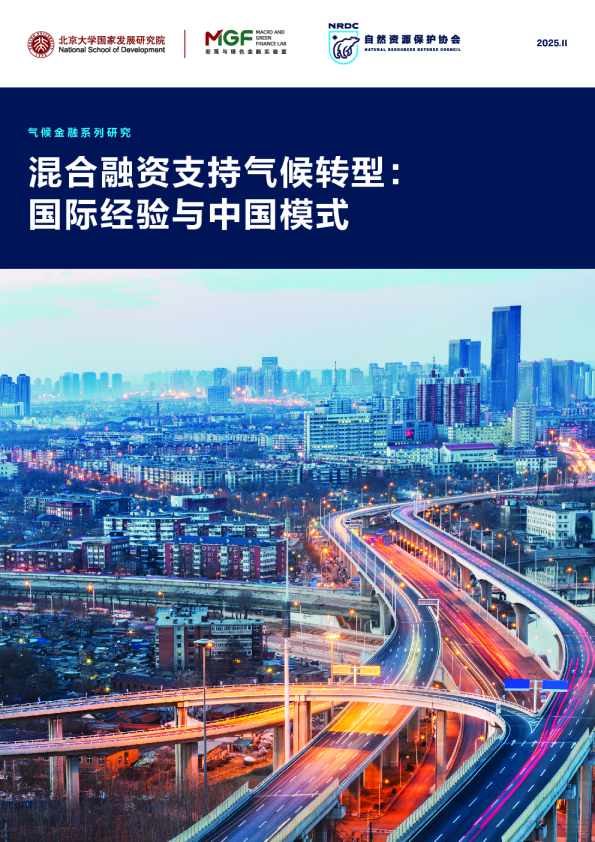 混合融资支持气候转型:国际经验与中国模式