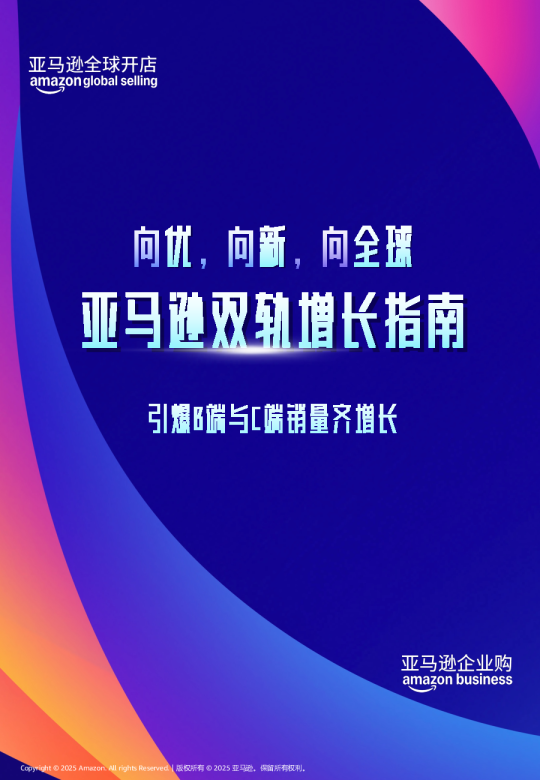 亚马逊全球开店：2025年亚马逊双轨增长指南