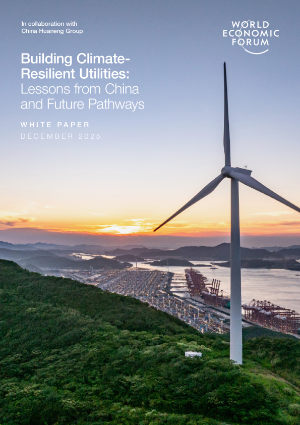 构建气候韧性公用事业：中国经验与未来路径
