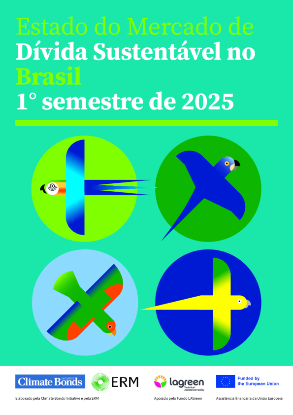 巴西可持续债务市场状况 H1 2025