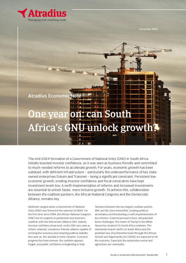 一年过去了：南非的GNU能解锁增长吗？