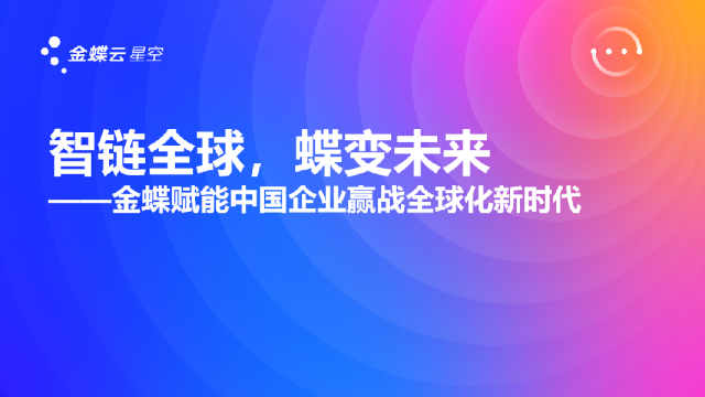 中型企业出海解决方案
