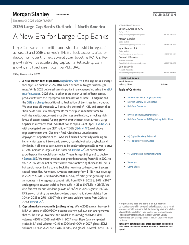 2026年大型银行展望：大型银行的新时代