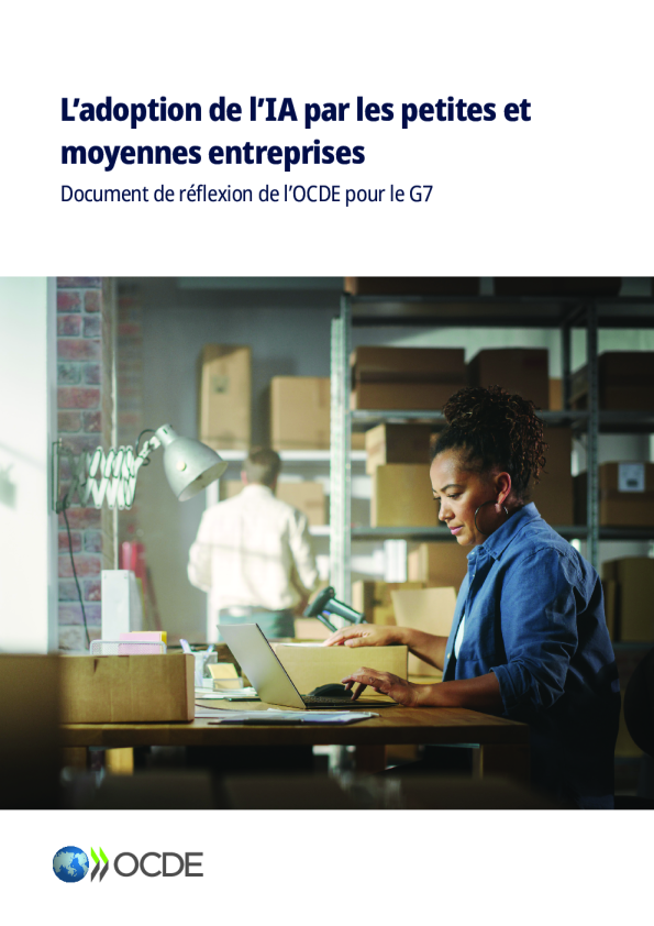 小企业和中小企业采用信息保障：七国集团OCDE报告