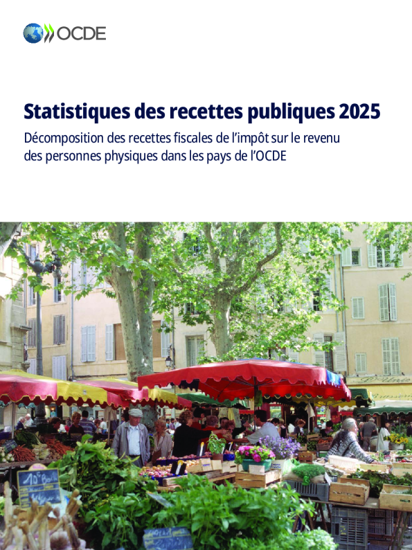 2025年出版物统计：关于强迫症患者健康收入的财政出版物组成