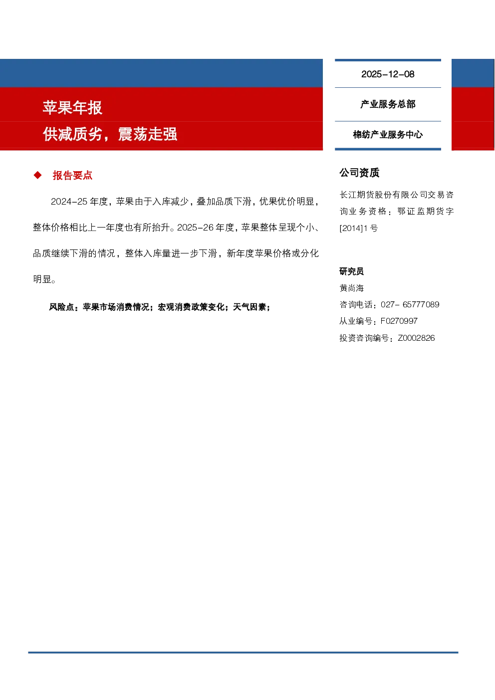 报告封面
