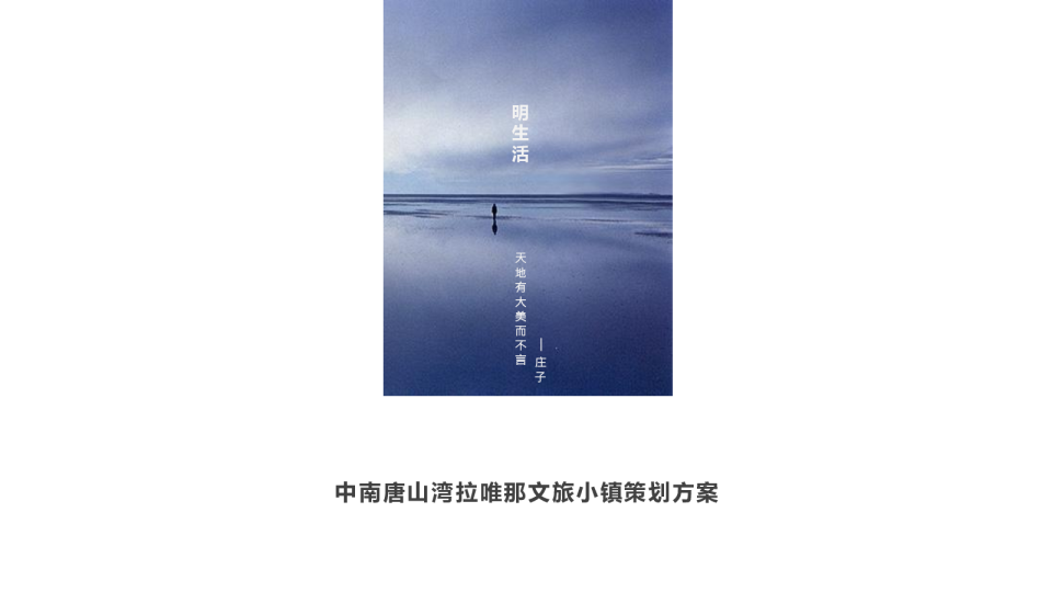 中南唐山湾文旅小镇定位规划策划方案【文旅】【项目规划】