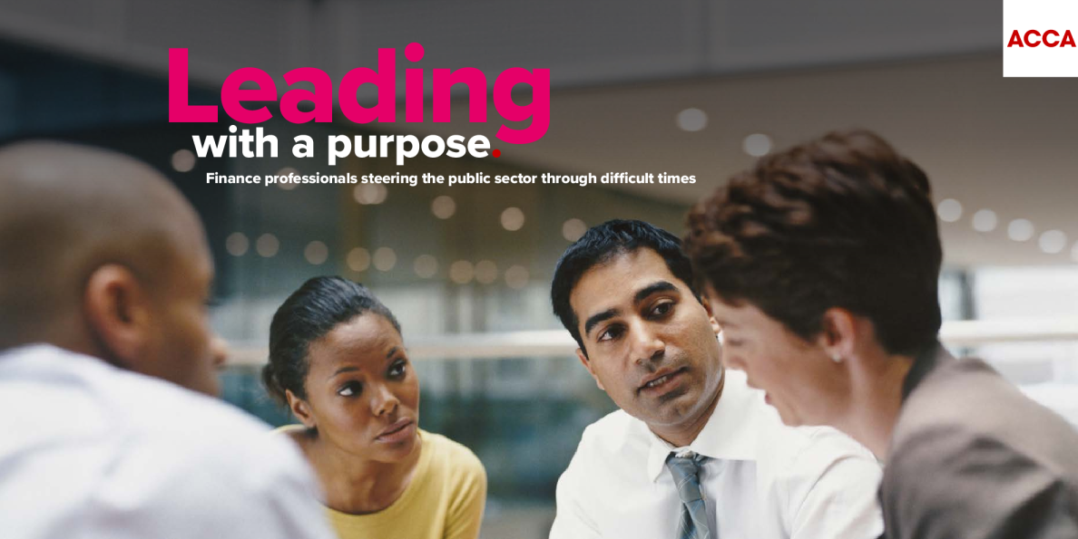 有目的地领导:金融专业人士带领公共部门度过困难时期(英)2025