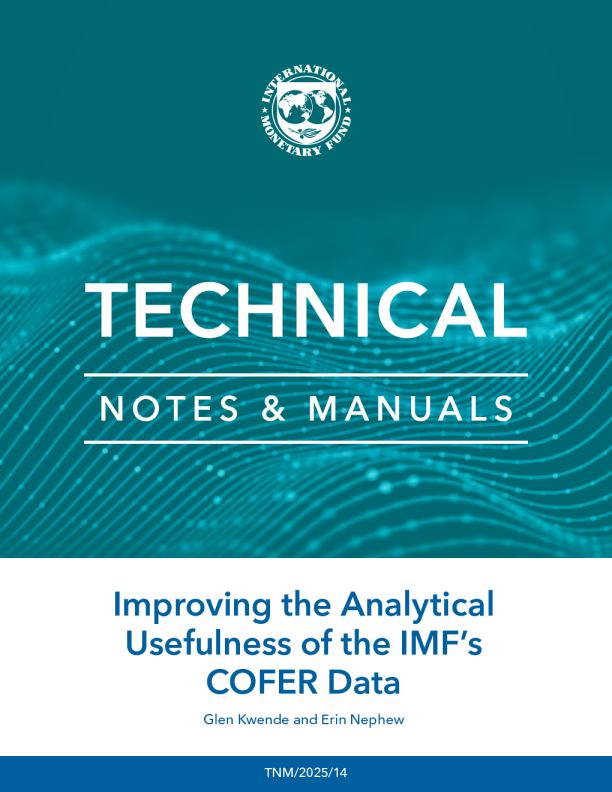 提高国际货币基金组织COFER数据的分析有用性(英)2025