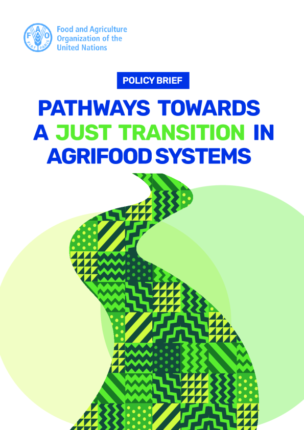 实现农业食品系统公正过渡的途径(英)2025