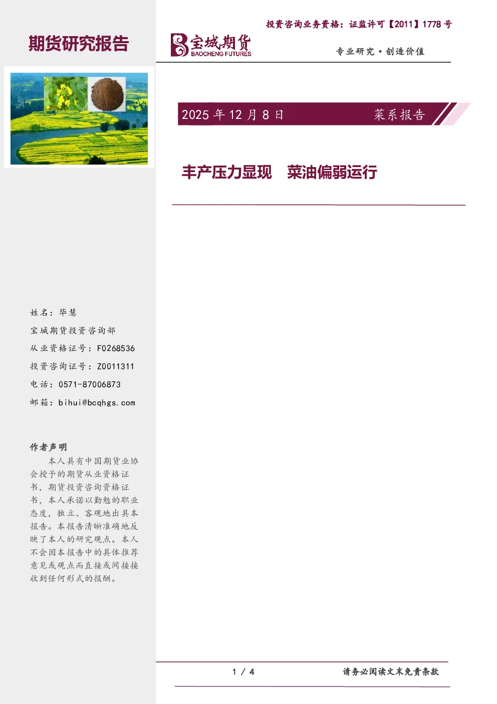 报告封面