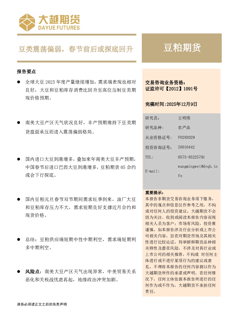 报告封面