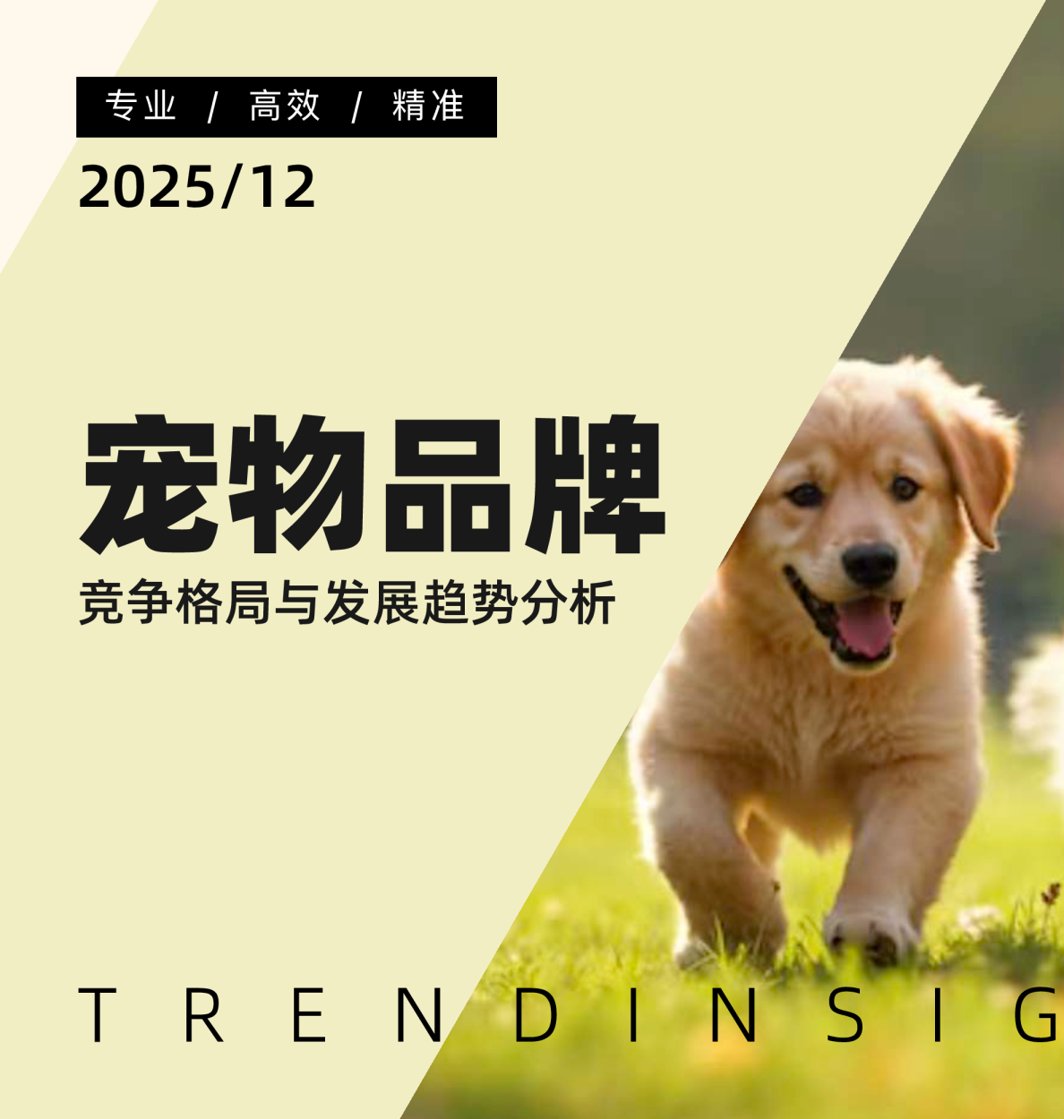 宠物品牌竞争格局与发展趋势分析