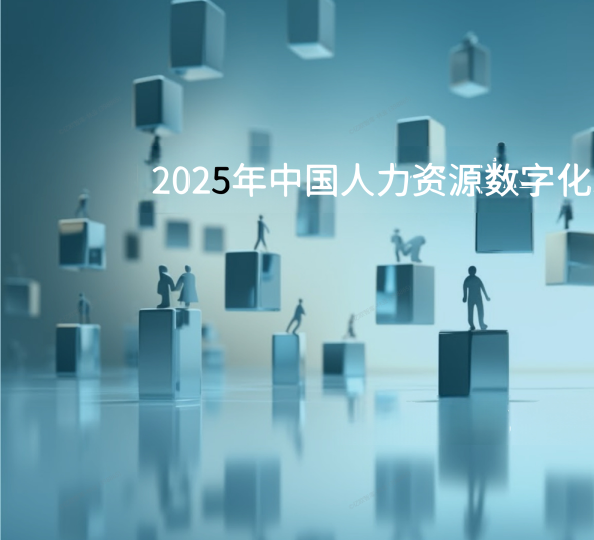 2025年中国人力资源数字化发展研究报告