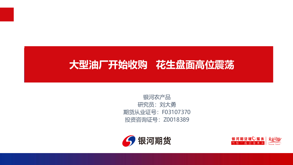 大型油厂开始收购 花生盘面高位震荡