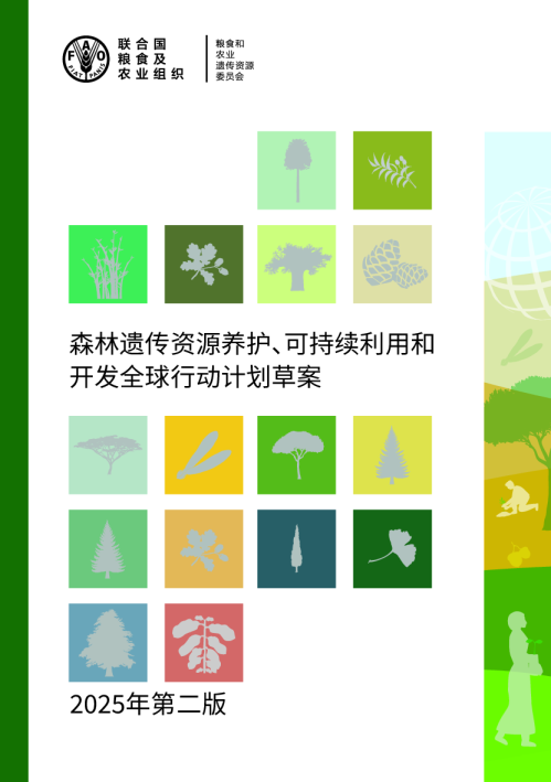森林遗传资源养护、可持续利用和开发全球行动计划草案