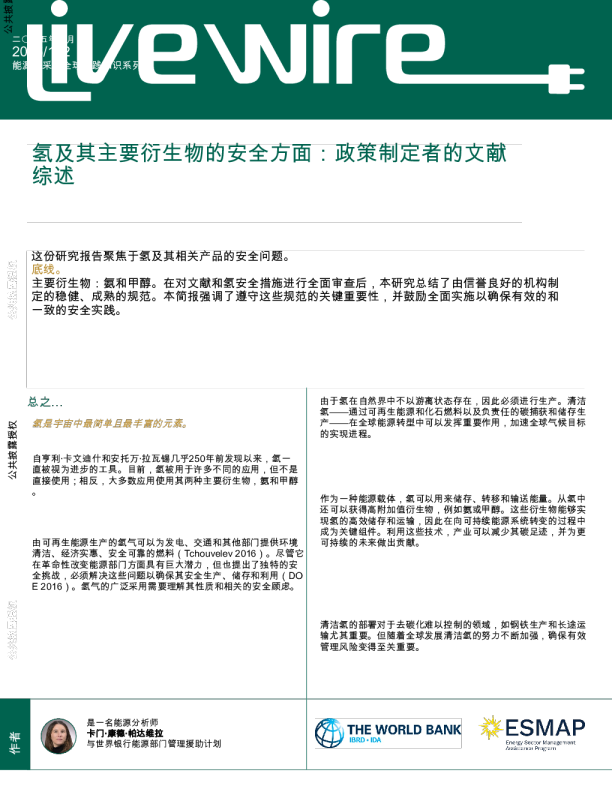 氢及其主要衍生物的安全方面：政策制定者的文献综述