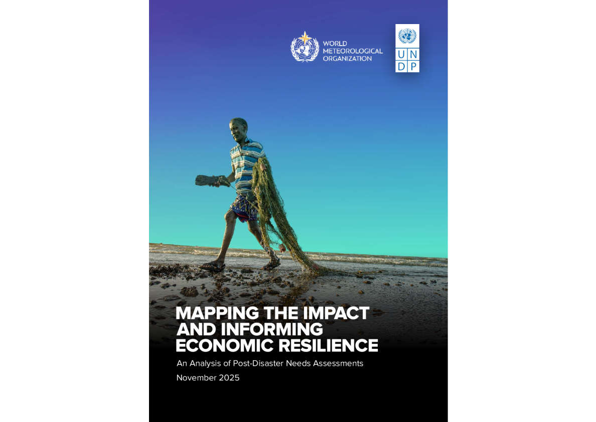 绘制影响图并告知经济弹性（英）2025