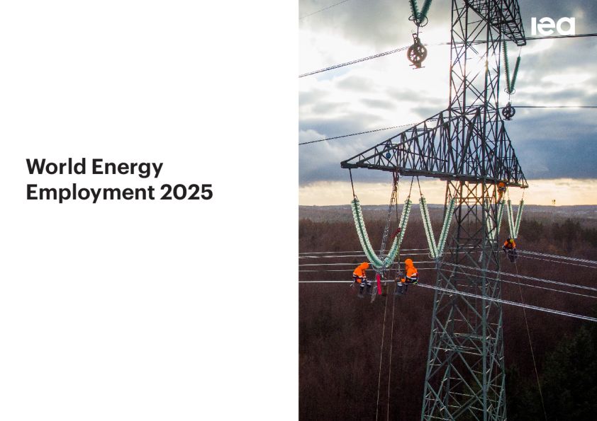 2025年世界能源就业(英)