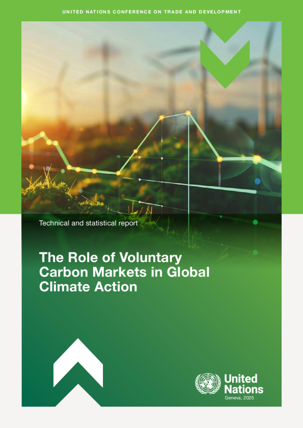 自愿碳市场在全球气候行动中的作用