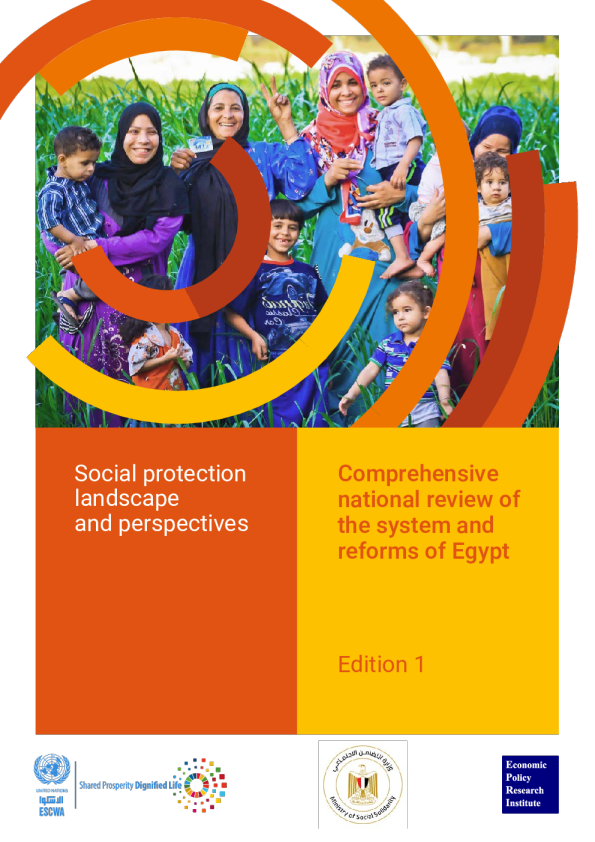 社会保护格局与前景：埃及制度与改革的全面国家审查 第1版