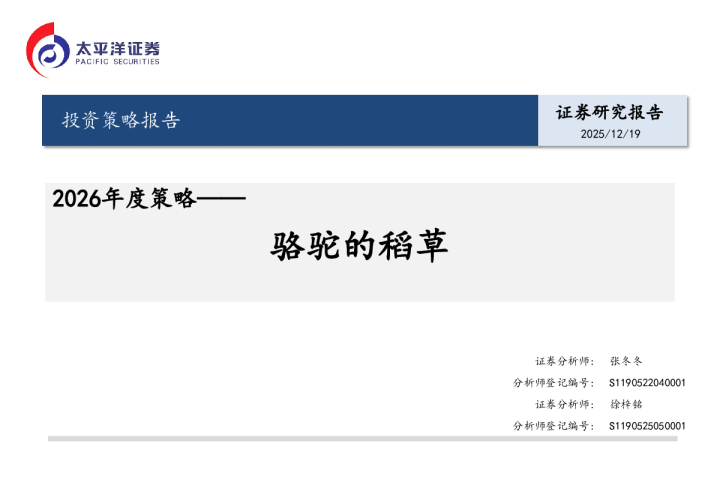 骆驼的稻草 2026年度策略