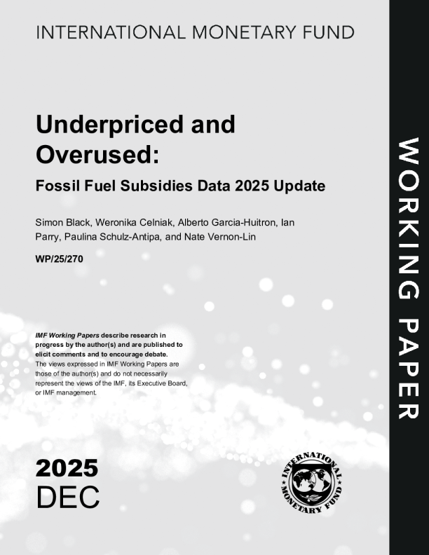 价格过低和过度使用：2025年化石燃料补贴数据更新