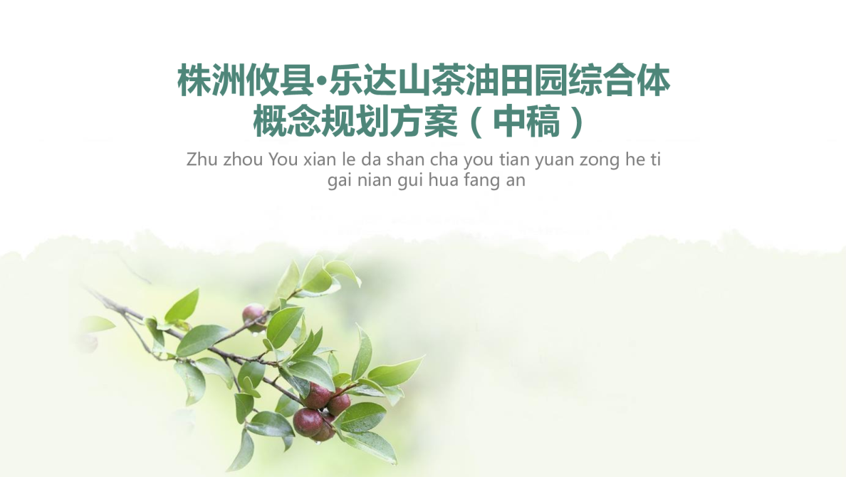 湖南攸县乐达山茶油田园综合体概念规划【文旅】【项目规划】