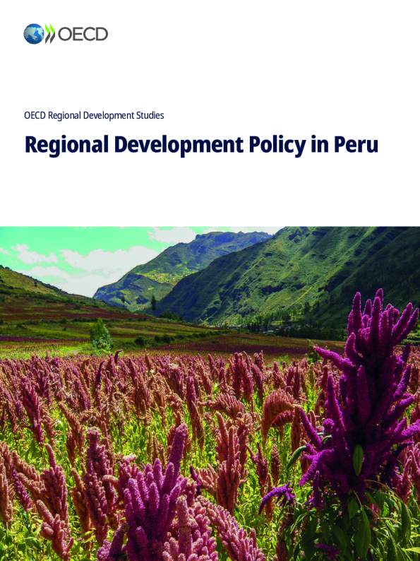 秘鲁的区域发展政策