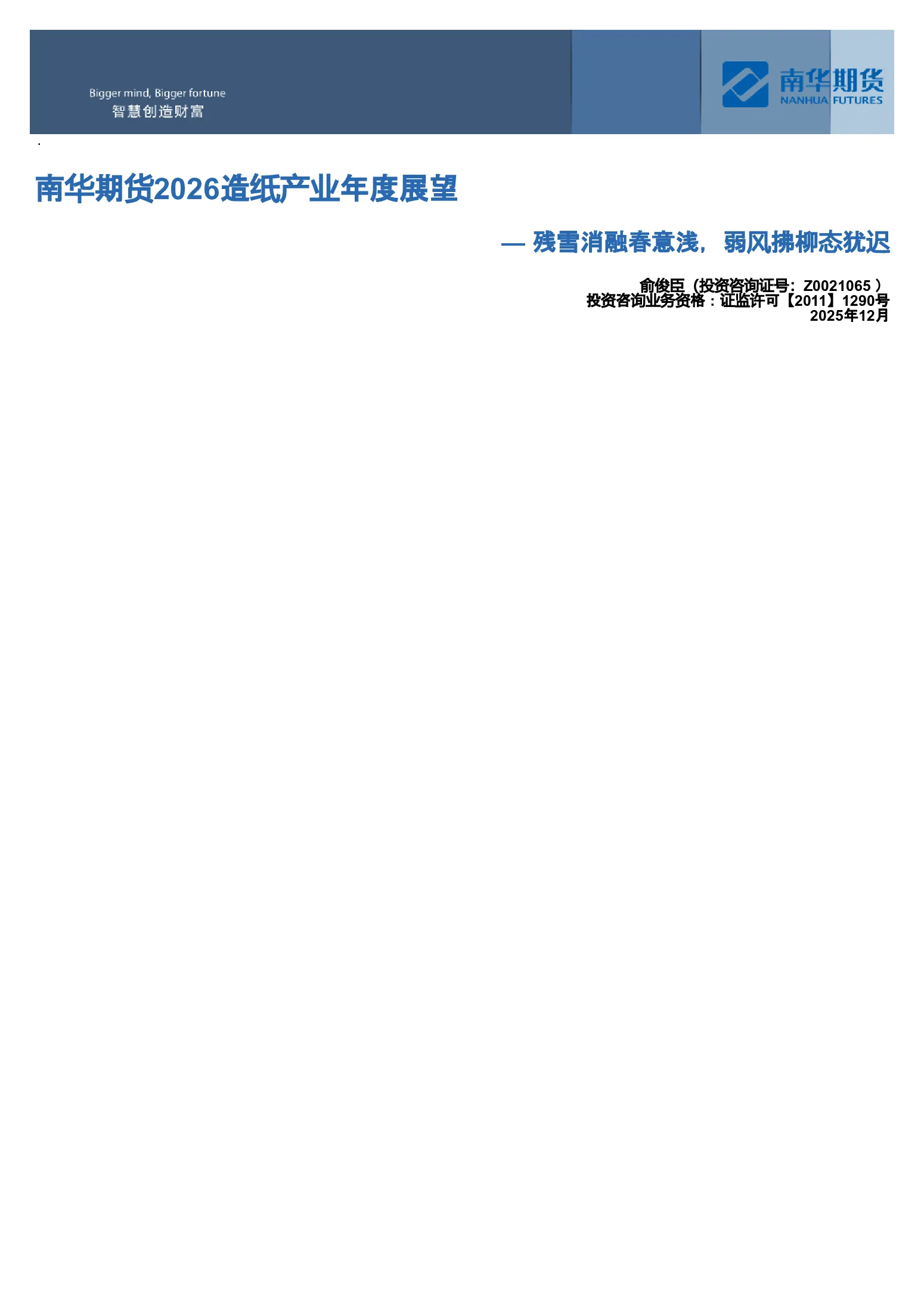 报告封面