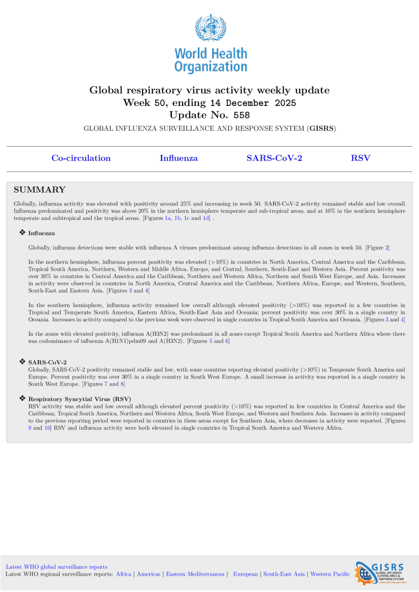 全球呼吸道病毒活动：每周更新N°558