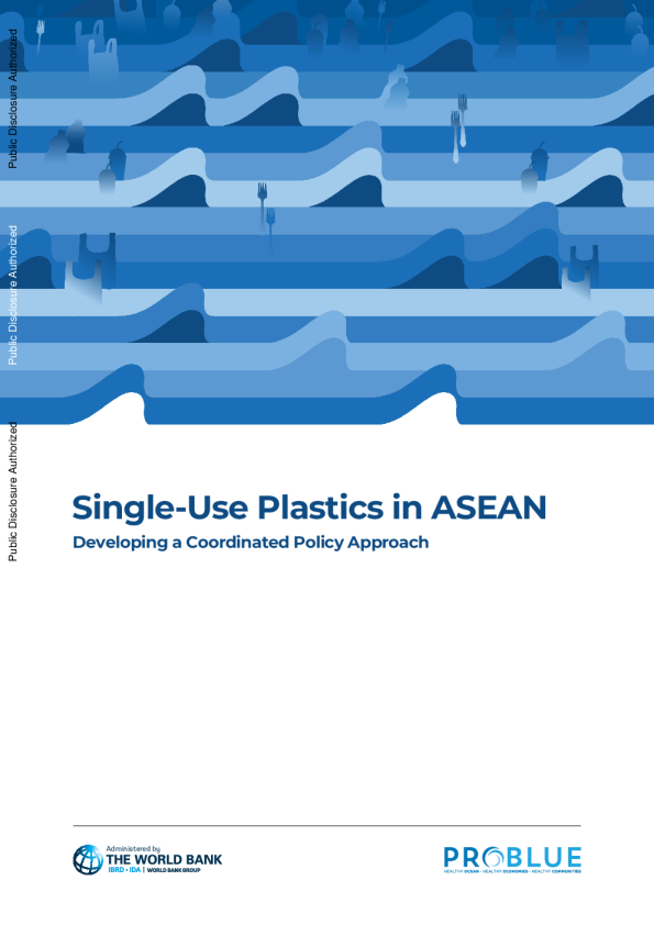 东盟一次性塑料：制定协调的政策方法