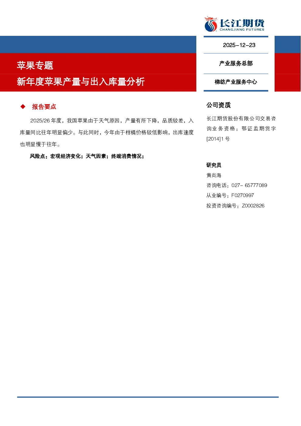 报告封面