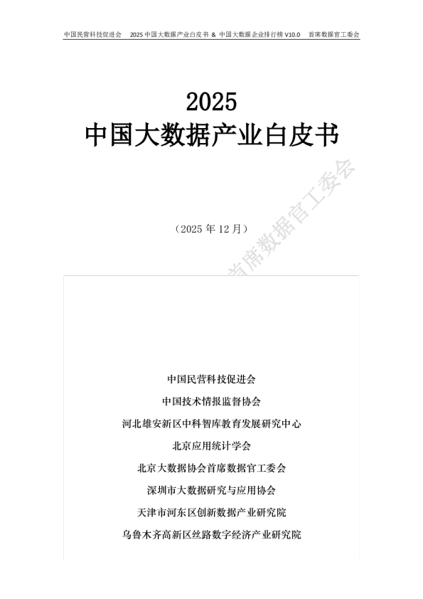 2025中国大数据产业白皮书