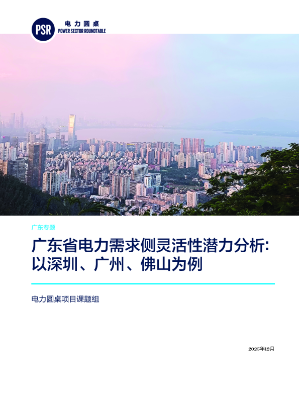 广东省电力需求侧灵活性潜力分析：以深圳、广州、佛山为例