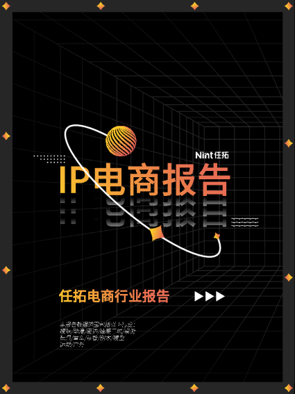 IP电商报告