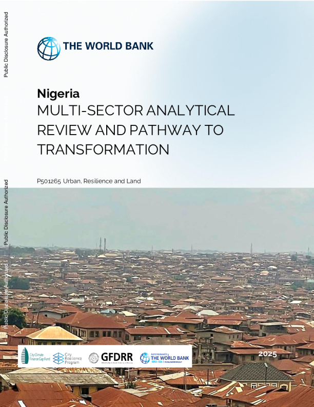 尼日利亚-多部门分析审查和转型之路