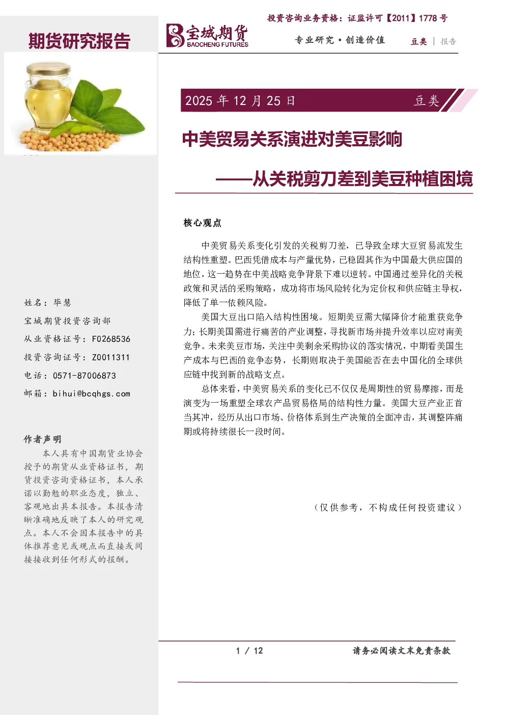 报告封面