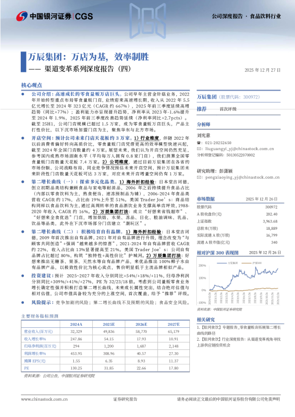 渠道变革系列深度报告（四）：万辰集团：万店为基，效率制胜
