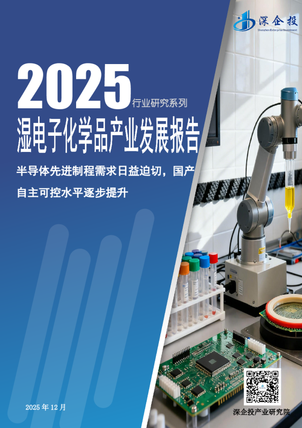 2025湿电子化学品产业发展报告